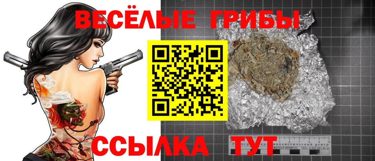 Галлюциногенные грибы MAGIC MUSHROOMS  Вход с VPN  Азнакаево 