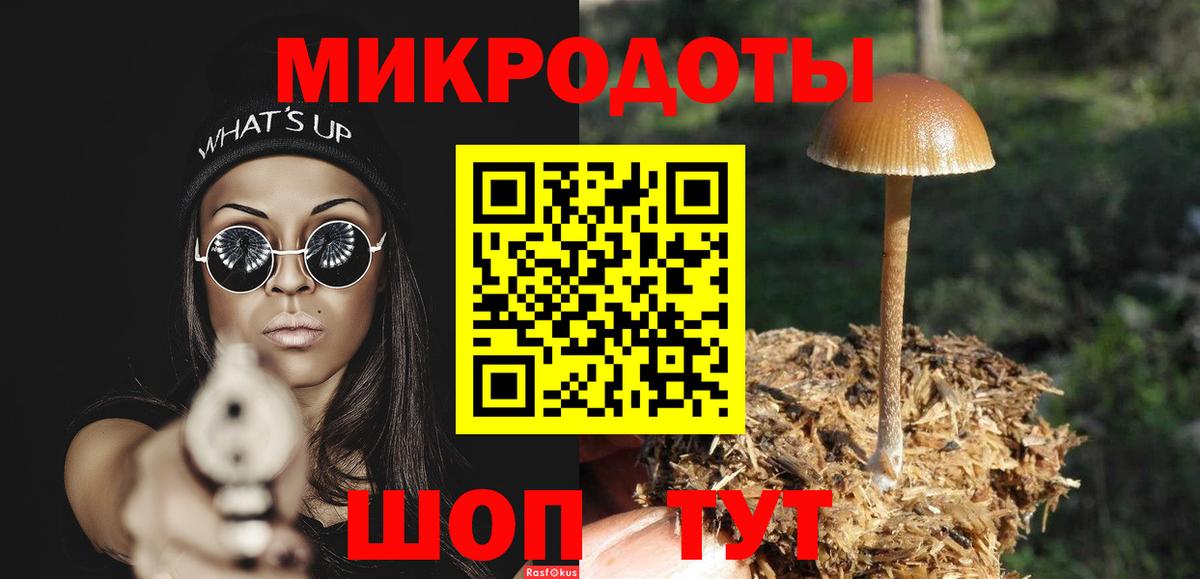 Галлюциногенные грибы Psilocybe Азнакаево